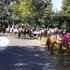 Buck Creek Trail Ride